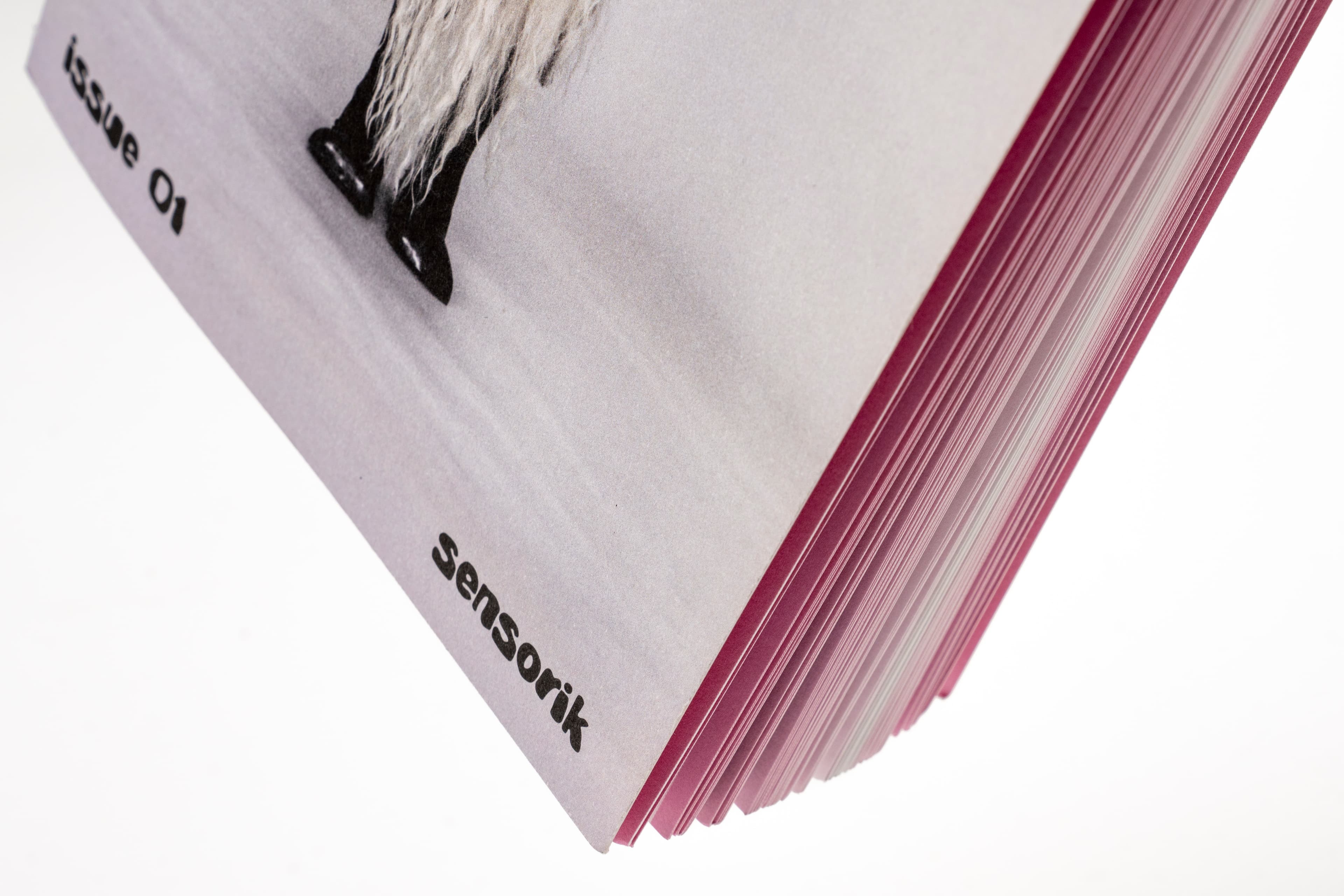 akut Magazin – Issue 01 «Sensorik» cover